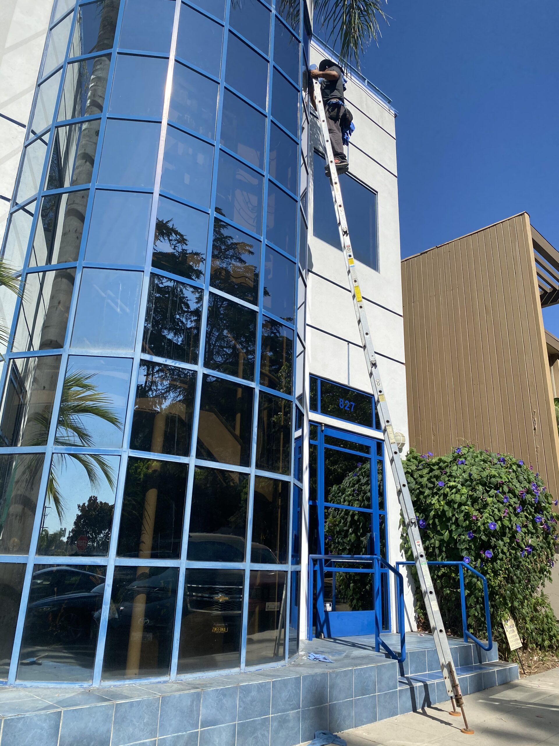 Commercial Building Window Cleaning